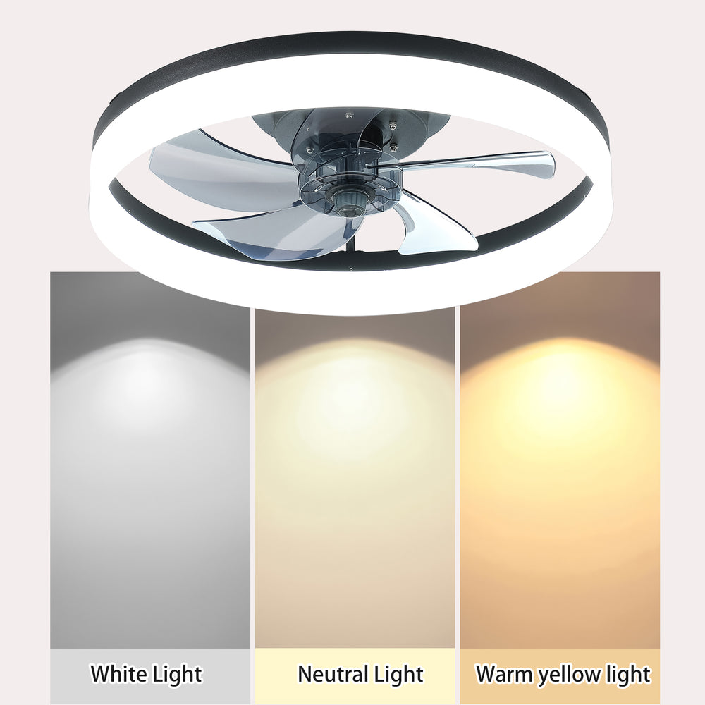 Luminous Breeze Ceiling Fan