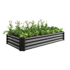 Sleek Black Garden Bed for Beautiful Blooms