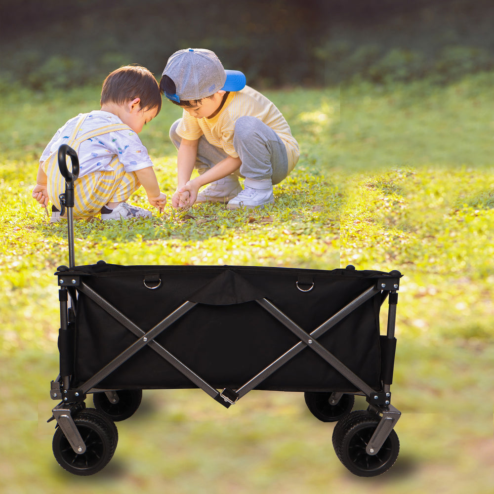 Beach Buddy Wagon