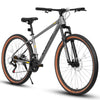 Adventure Cruiser Mountain Bike