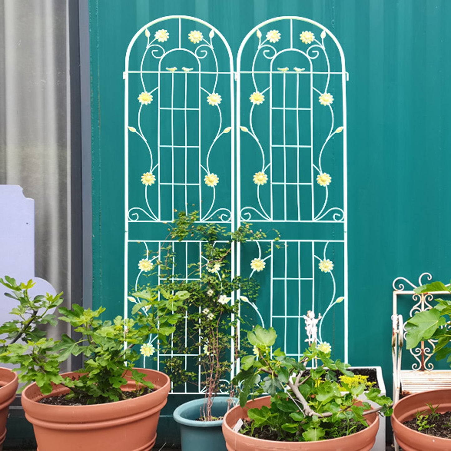 Elegant Garden Trellis Set for Climbing Plants