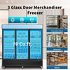 ChillMaster Glass Door Freezer Display