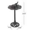 Bronze Elegance Bird Bath