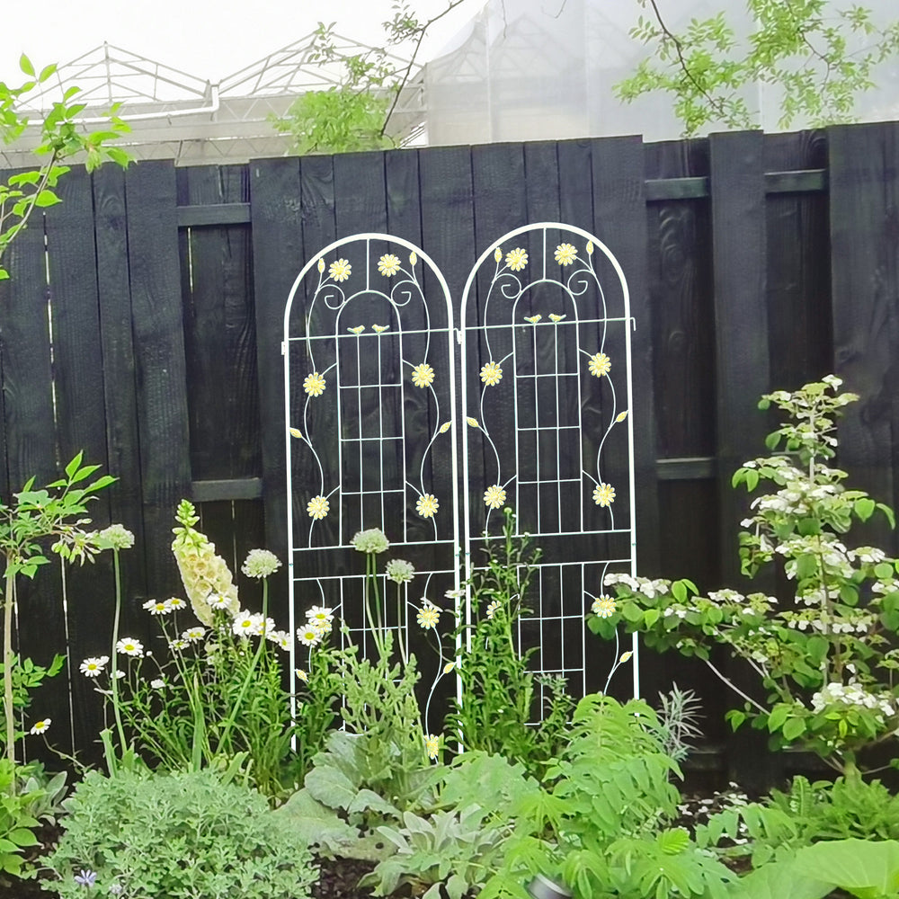 Charming Garden Trellis Set for Climbing Plants