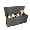 Chic Black Lift-Top Storage Trunk