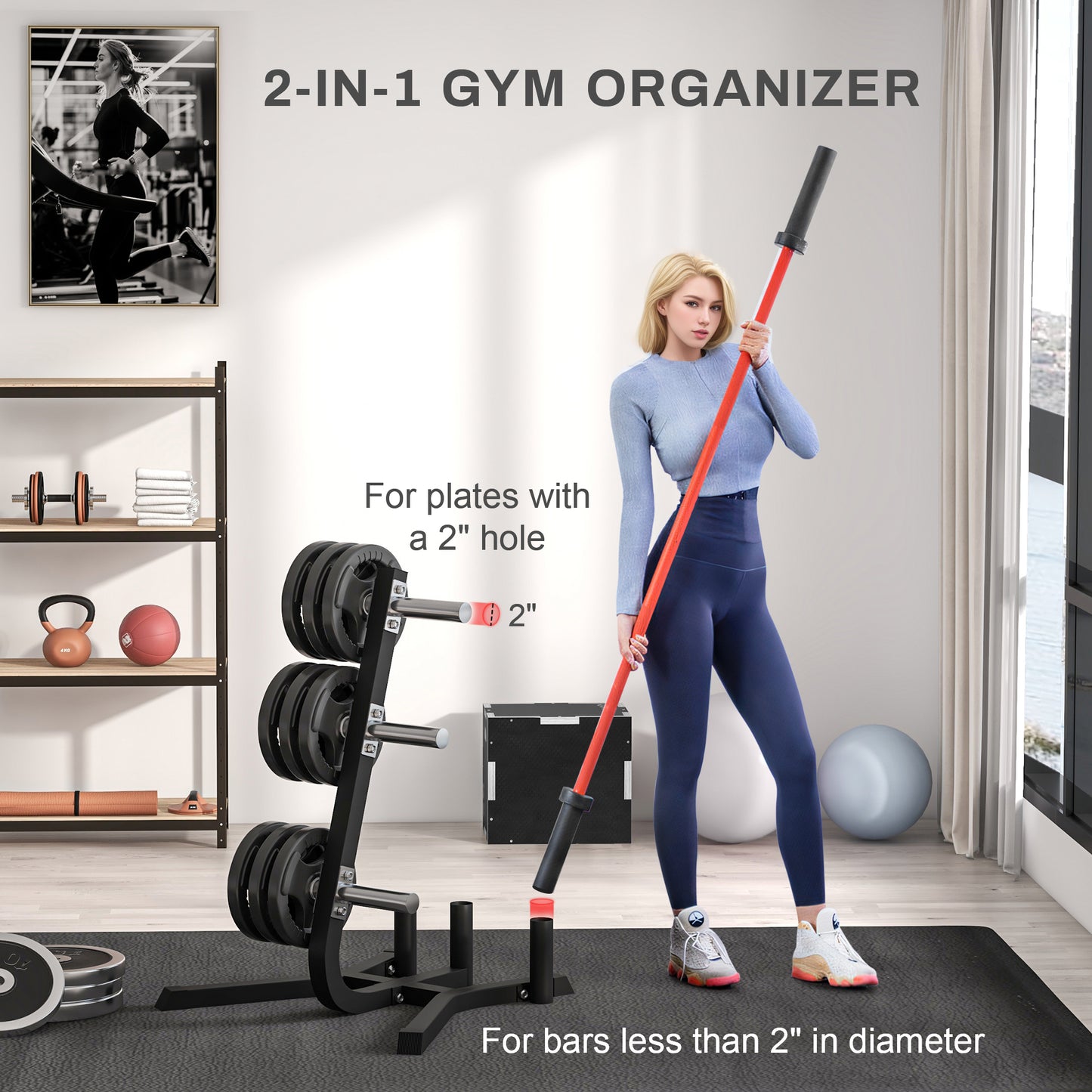 Ultimate Weight Rack - Olympic Plate & Bar Storage