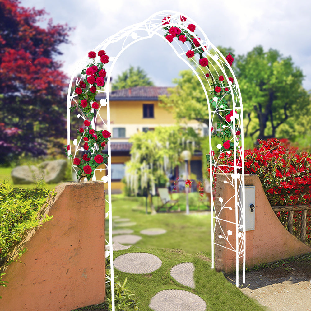 Charming Garden Arch for Climbing Plants & Celebrations