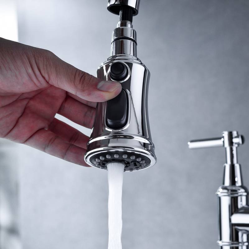 Spotless Pull-Down Kitchen Faucet