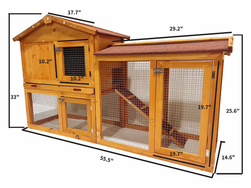 Playground Chicken Coop Adventure