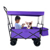 Adventure Wagon: The Ultimate Portable Kids' Trolley