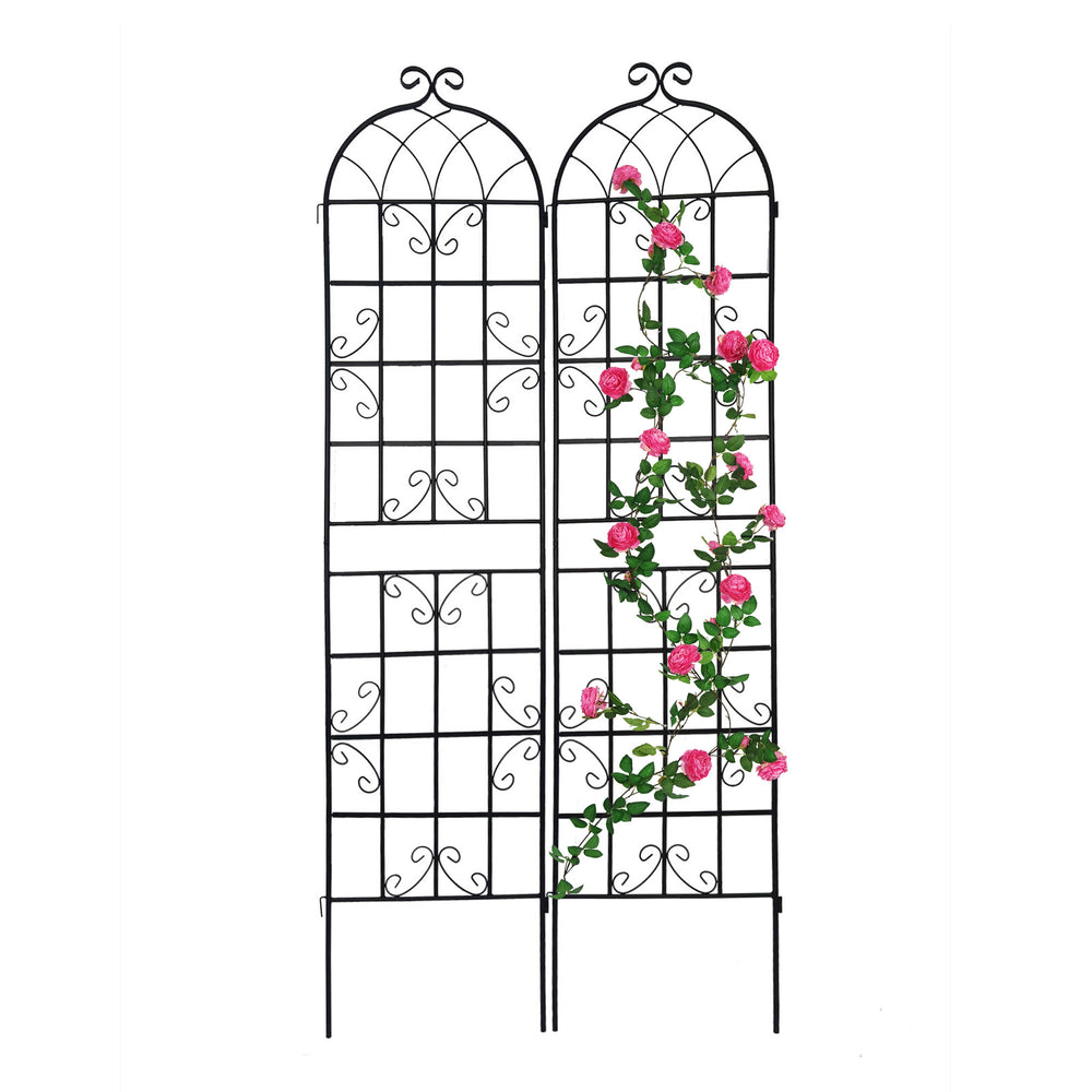 Climbing Support Trellis Set