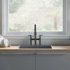 Elegant Pull-Down Kitchen Faucet with Double Handles