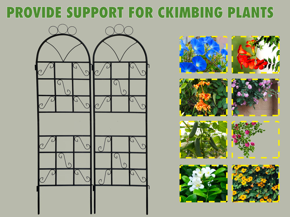 Steel Garden Trellis for Climbing Plants