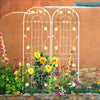 Charming Garden Trellis Set for Climbing Plants