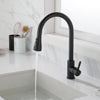 Versatile Pull-Out Kitchen Faucet