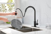 Spray & Splash Kitchen Faucet