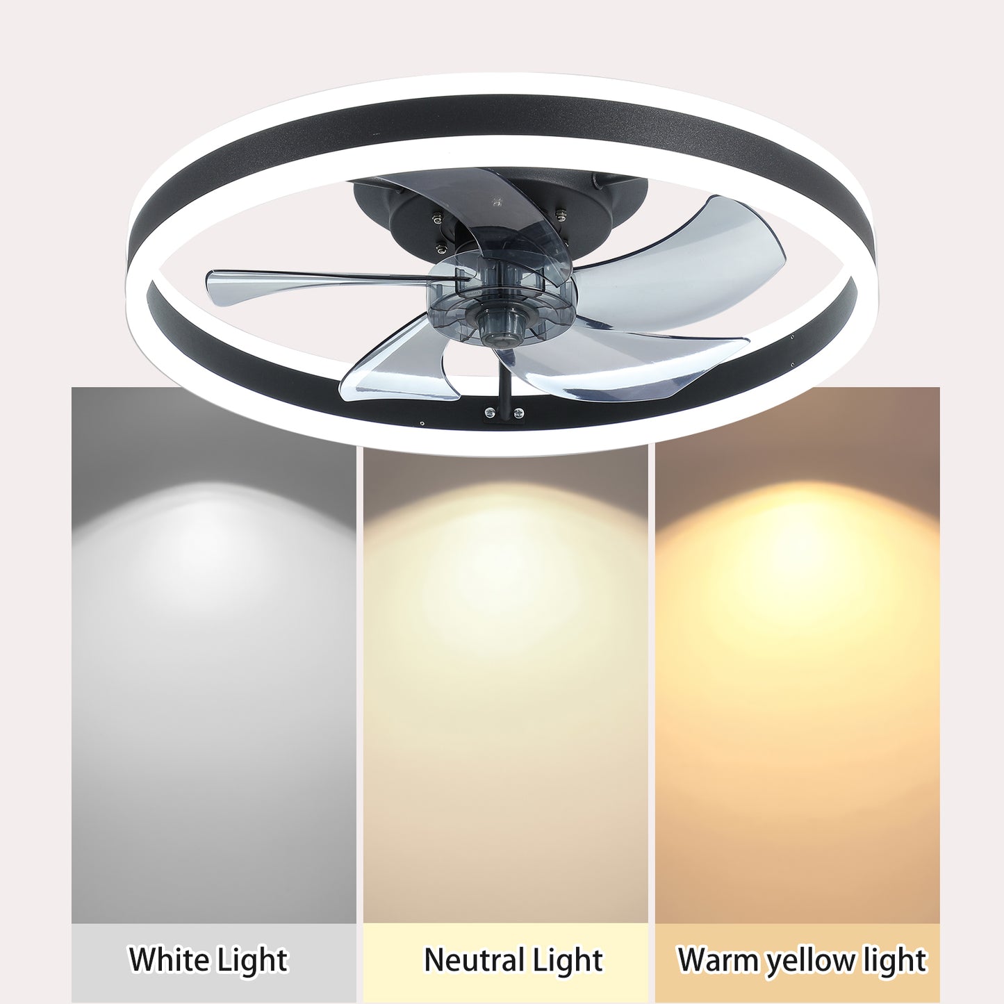 Bright Breeze Ceiling Fan Light