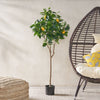 Lively Lemon Tree Décor