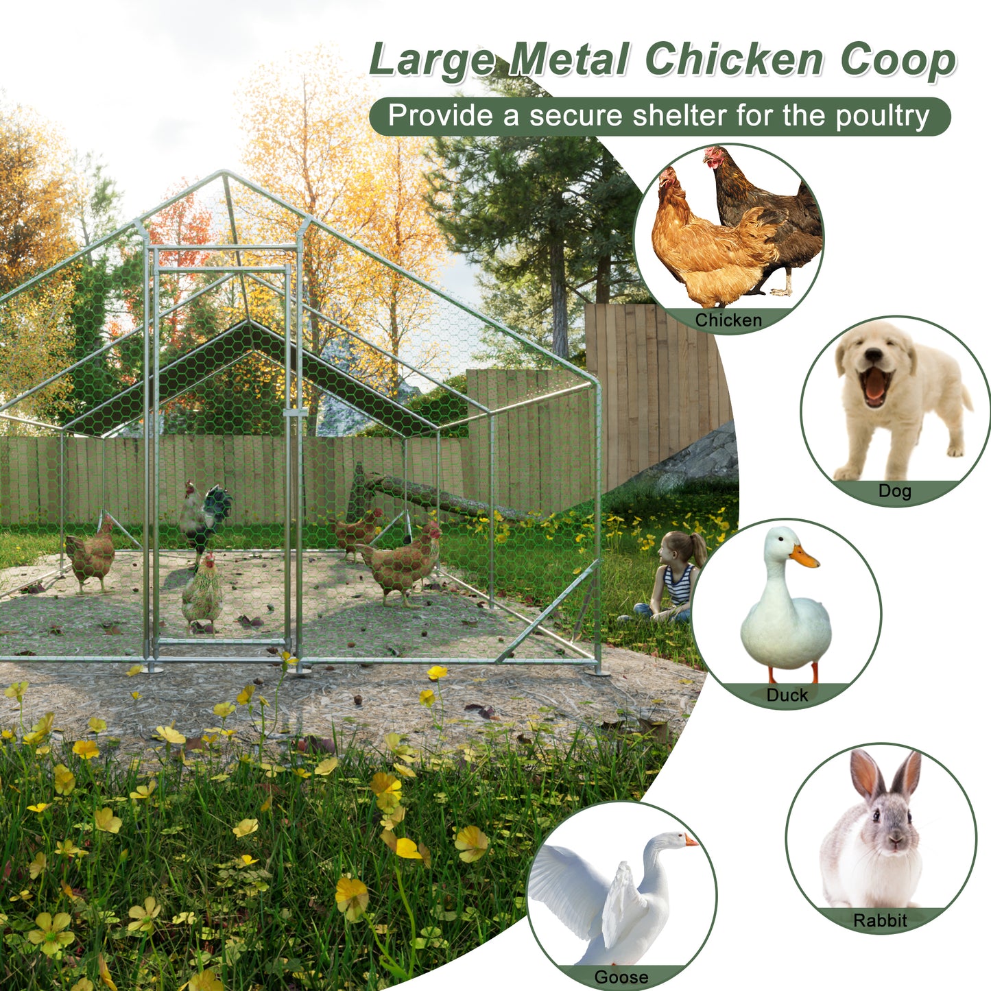 Ultimate Outdoor Chicken & Rabbit Coop