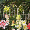 Garden Climber Trellis Set