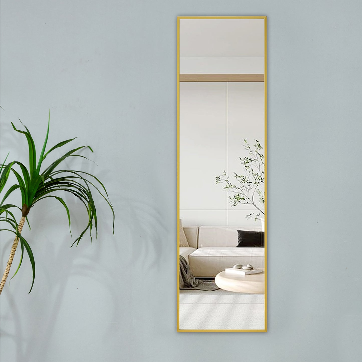 Sleek Full-Length Aluminum Mirror