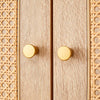 Chic Rattan Storage Cabinet