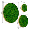 Charming Round Moss Wall Art Set