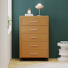 Chic Five-Drawer Storage Chest