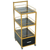 Stylish Salon Trolley with Locking Wheels