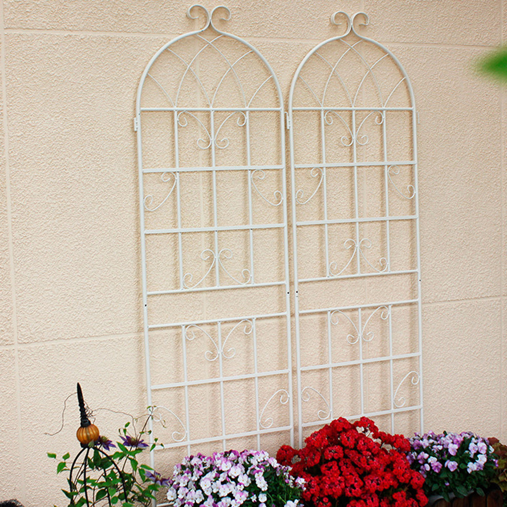 Charming Creamy Climbing Plant Trellis Set