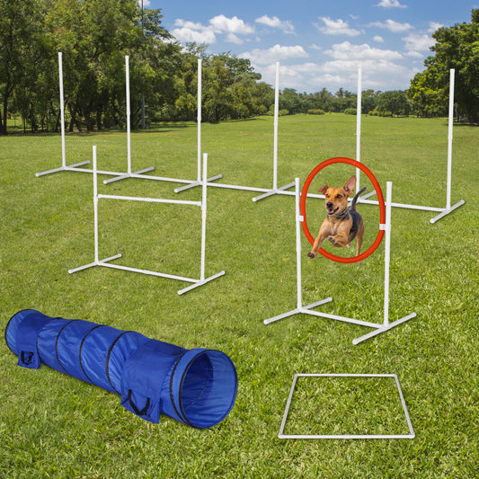 Pawfect Pup Agility Set