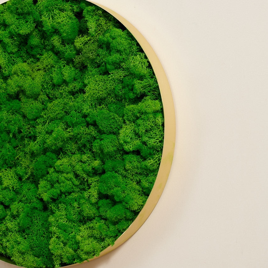 Lush Moss Round Wall Art