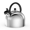 Whistling Stainless Steel Teakettle