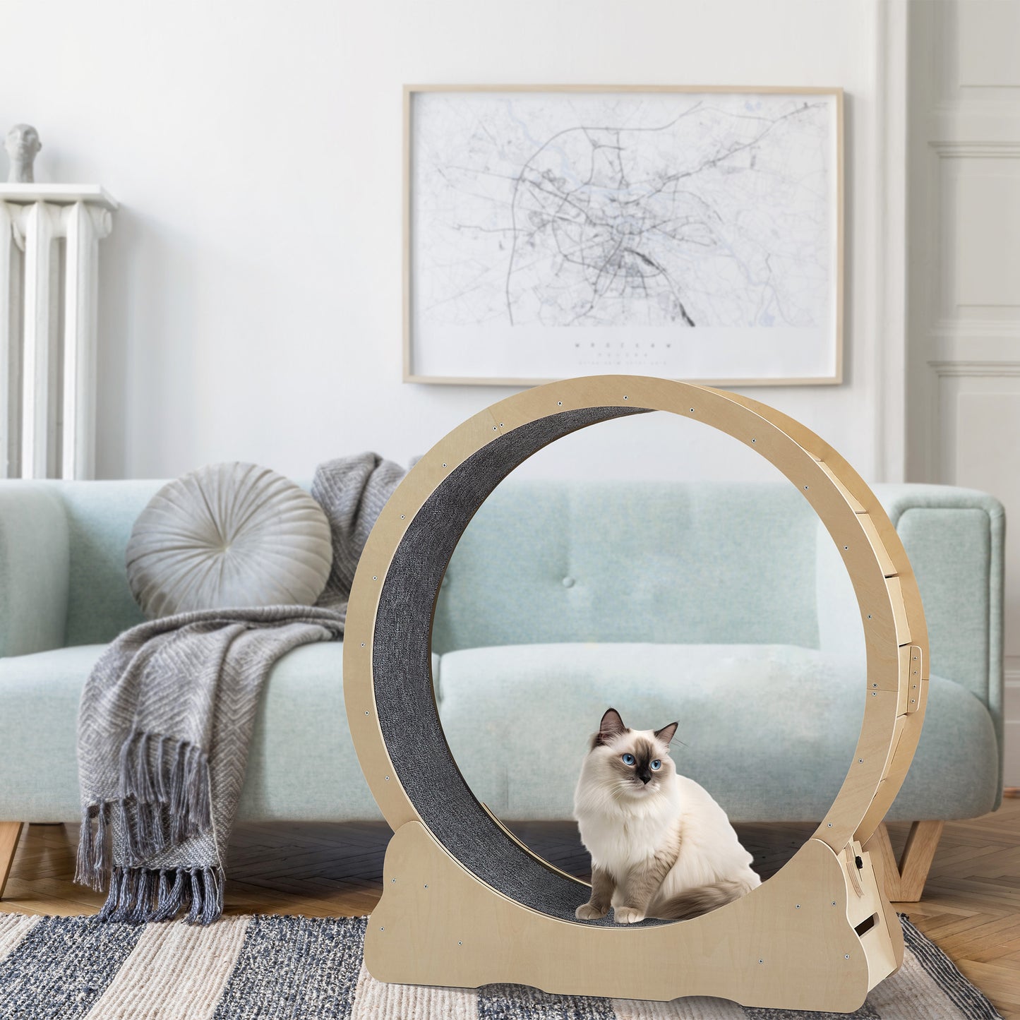 Purr-fect Cat Treadmill - Fun & Safe Exercise Wheel