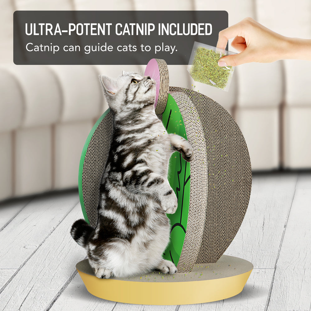 Cactus Cat Scratcher Delight