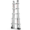 Versatile Wheels-Up Ladder