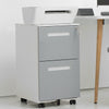 Rolling Lockable File Cabinet