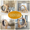 Purrfect Cat Exercise Wheel