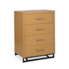 Charming 4-Drawer Storage Chest