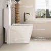 Sleek Dual Flush One-Piece Toilet with Soft-Close Seat