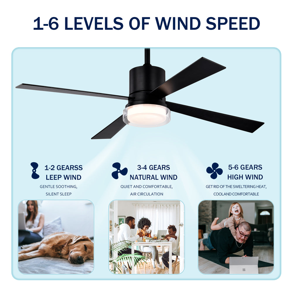 Modern Dimmable Fandelier Ceiling Fan with Remote