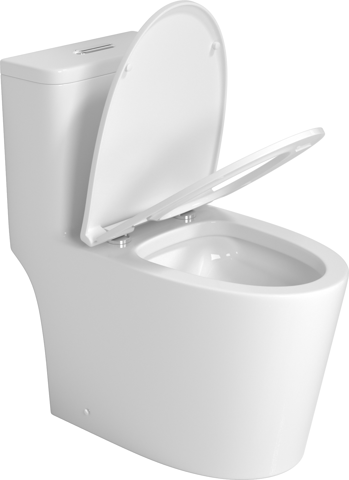 Premium One-Piece Toilet with Top Accessories