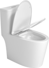 Premium One-Piece Toilet with Top Accessories