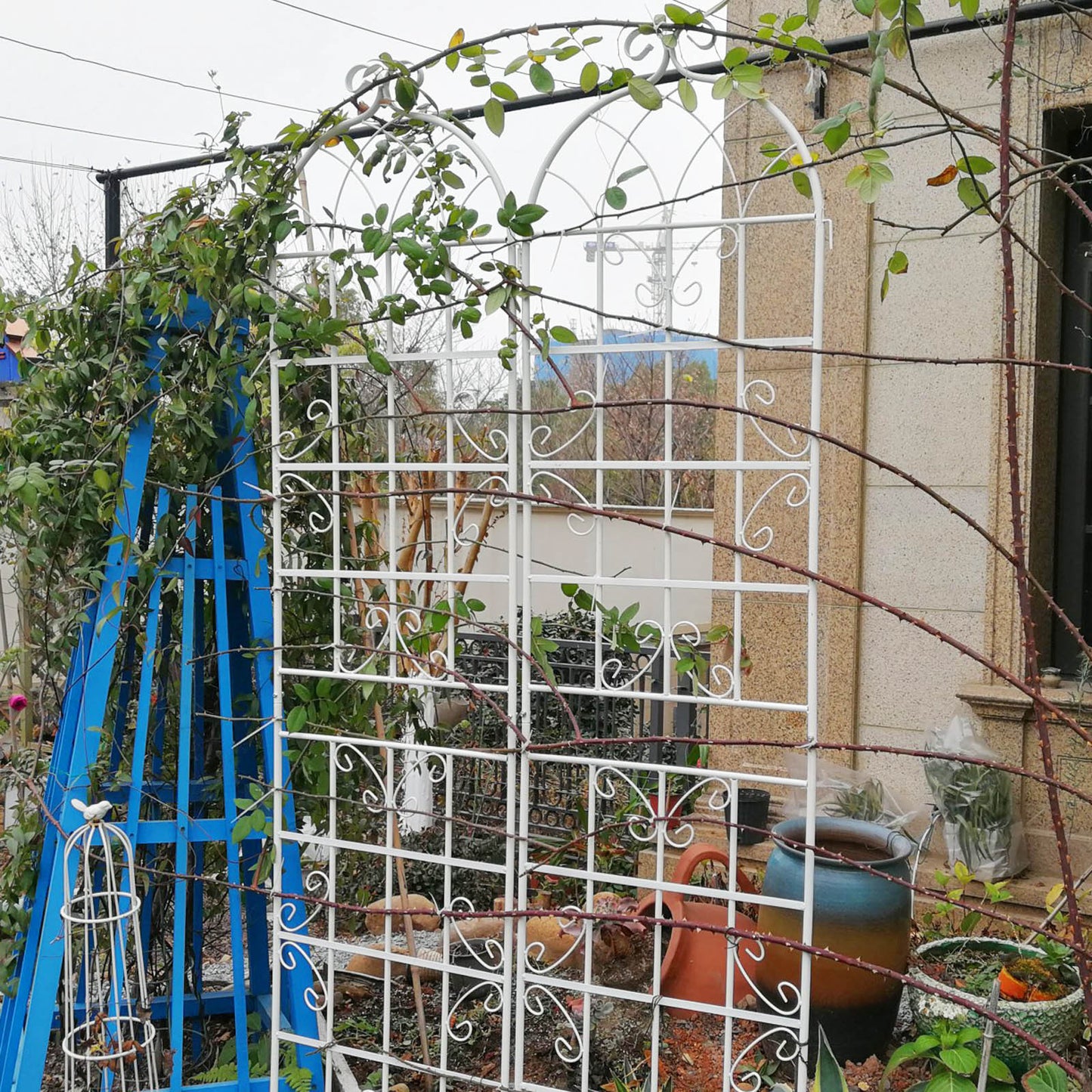 Rustproof Garden Trellis Set for Climbing Plants