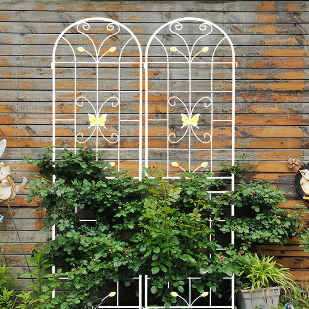 Garden Grace: Rustproof Trellis Duo for Climbing Blooms