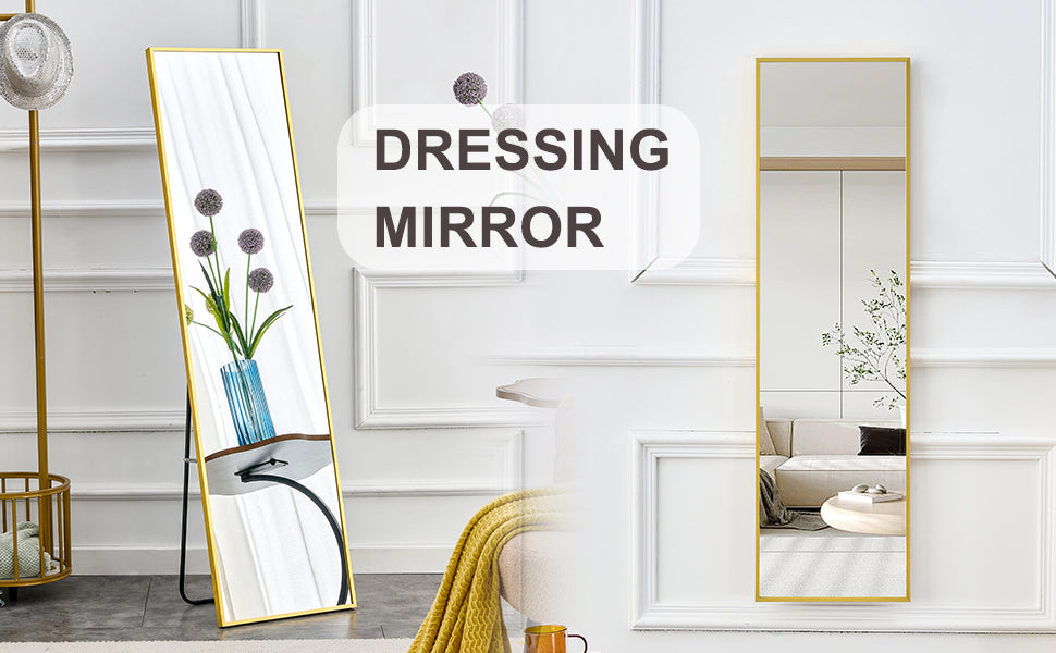 Sleek Full-Length Aluminum Mirror