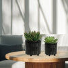 Stylish Black Textured Planters