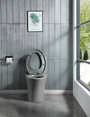 EcoFlush Comfort Toilet