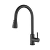 Versatile Pull-Out Kitchen Faucet