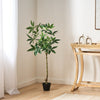 Stylish Faux Pachira Plant